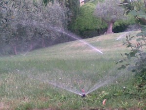 irrigazione 
